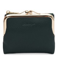 Женский кошелёк кожаный JZ SB-JZk16308gr-green