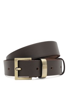 Ремень женский кожаный JZ SB-JZ110b1genw119-brown