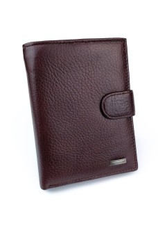 Чоловічий шкіряний гаманець з відділеннями для документів Tailian TA-227D-2 (JZ6785) коричневий